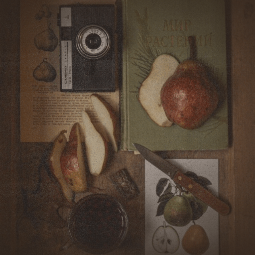 Vintage camera with pears and book
