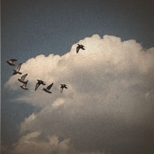 Birds flying across a blue sky.