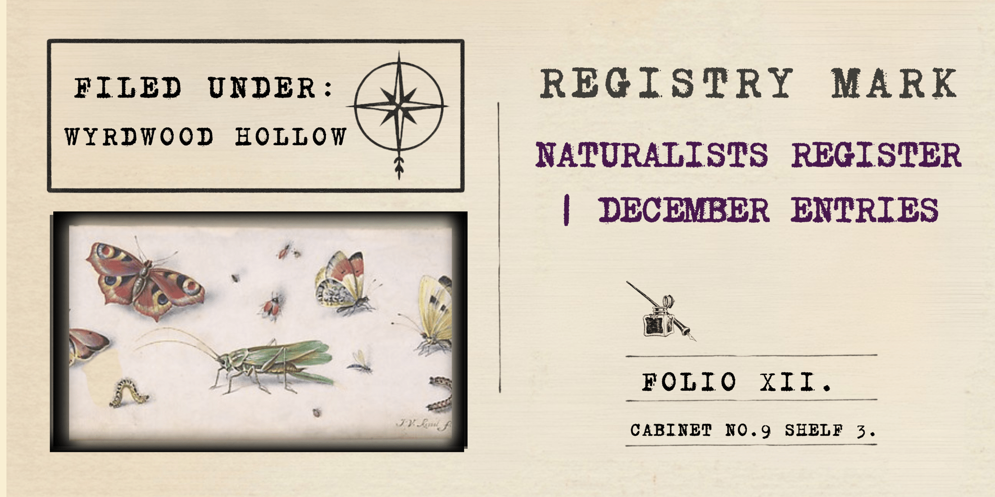 Naturalists Register | December 2025 Journal Entry Week IV