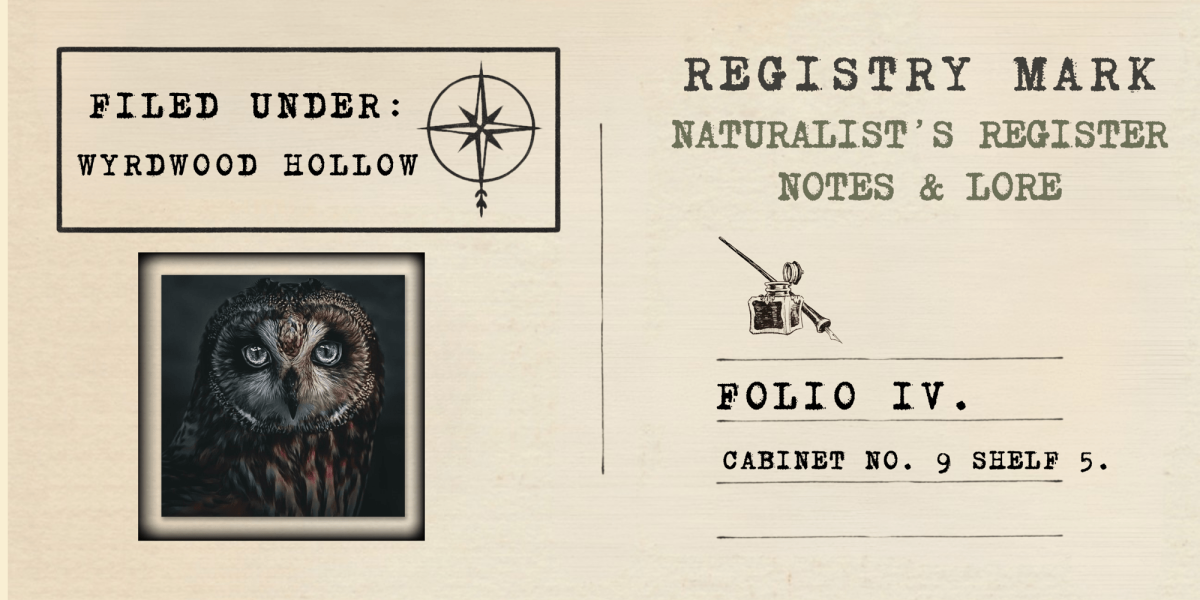Owl image in naturalist's register